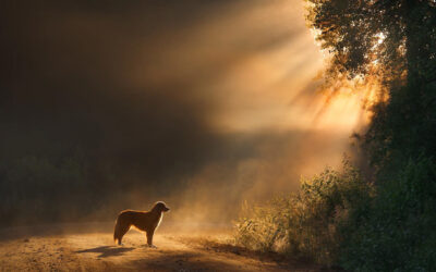 Tuhastamine: üldine või individuaalne?